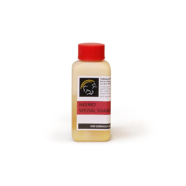 Shampoo