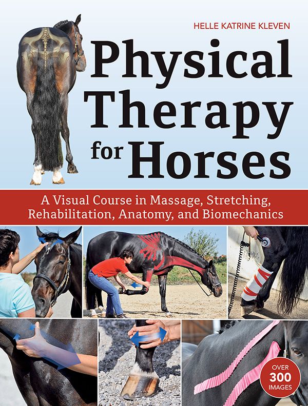 Buch "Physical Therapy for Horses" von Helle Kleven