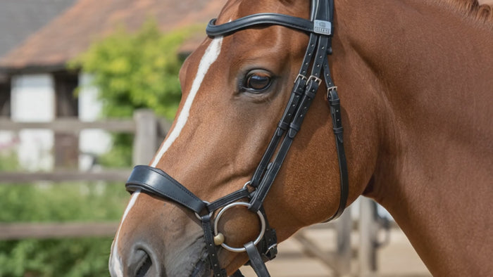 Trense "Snaffle Drop" von Fairfax video - helle-kleven.shop