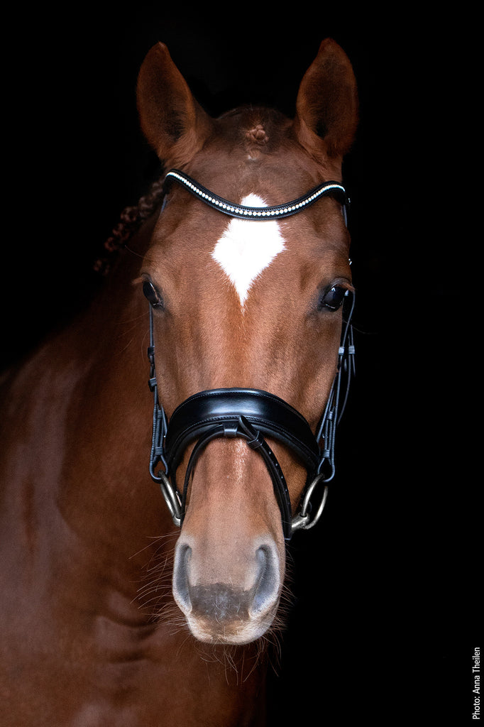 Trense "Stanford" von Schockemöhle Sports - helle-kleven.shop