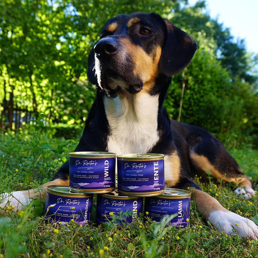 Hundefutter "Rind" von Dr. Reuters