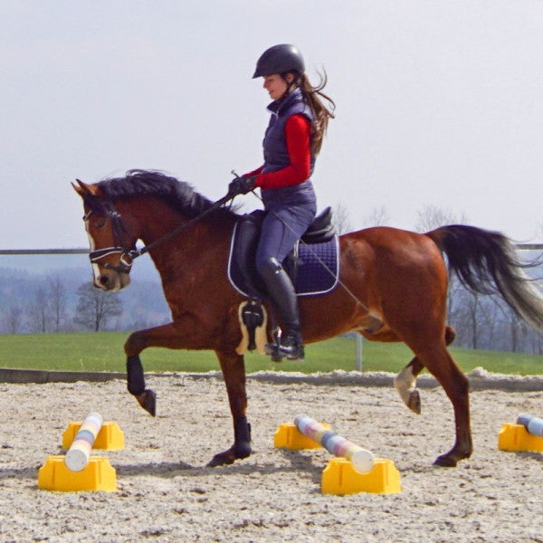 Cavaletti-/Stangenblock von Gewa