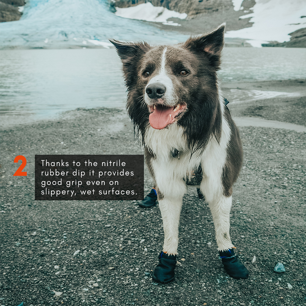 Hundeschuhe "Protector Booties" von Non-Stop dogwear