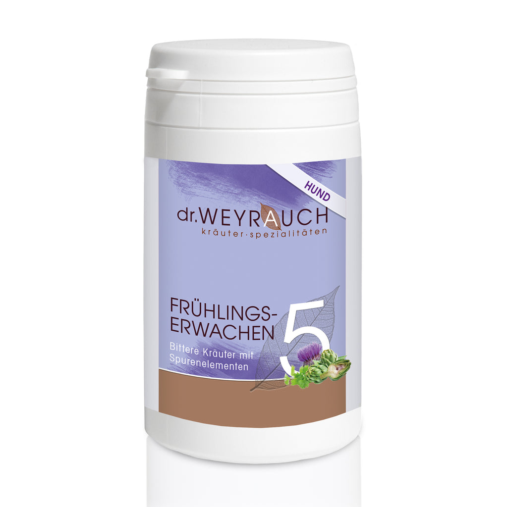 Nr. 5 "Frühlingserwachen" Hund  von dr. Weyrauch - helle-kleven.shop
