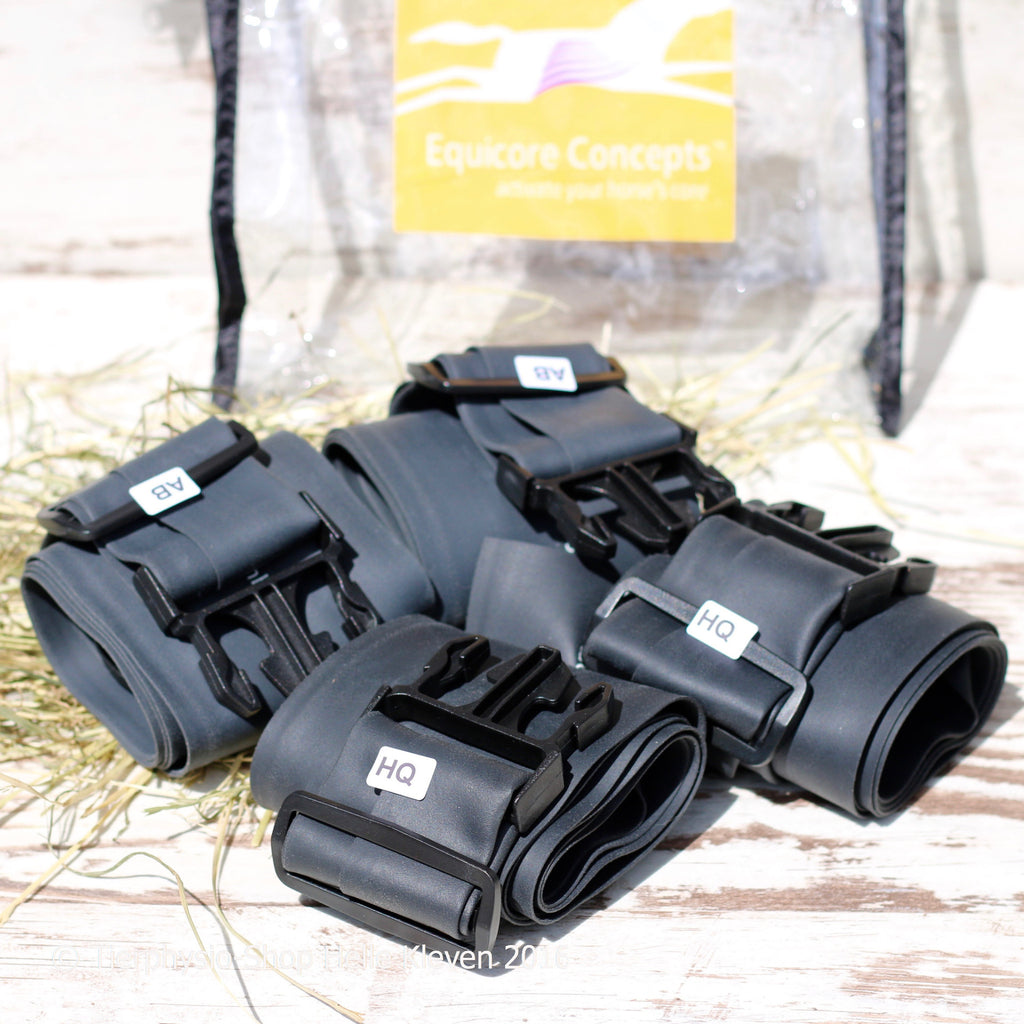 Equicore Systems – Helle Kleven Shop