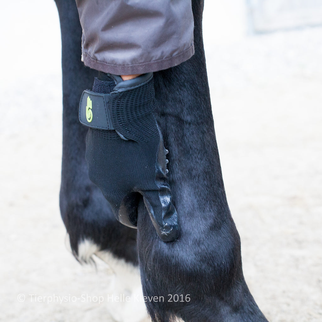 Putz- & Massagehandschuhe von HandsOn - helle-kleven.shop