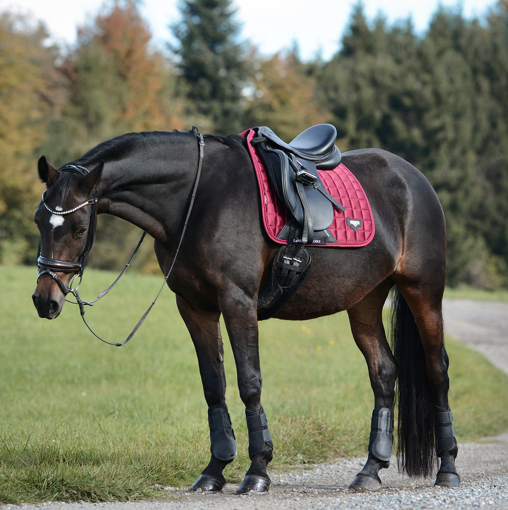 Dressurschabracke "Loire Classic" in Mulberry von LeMieux