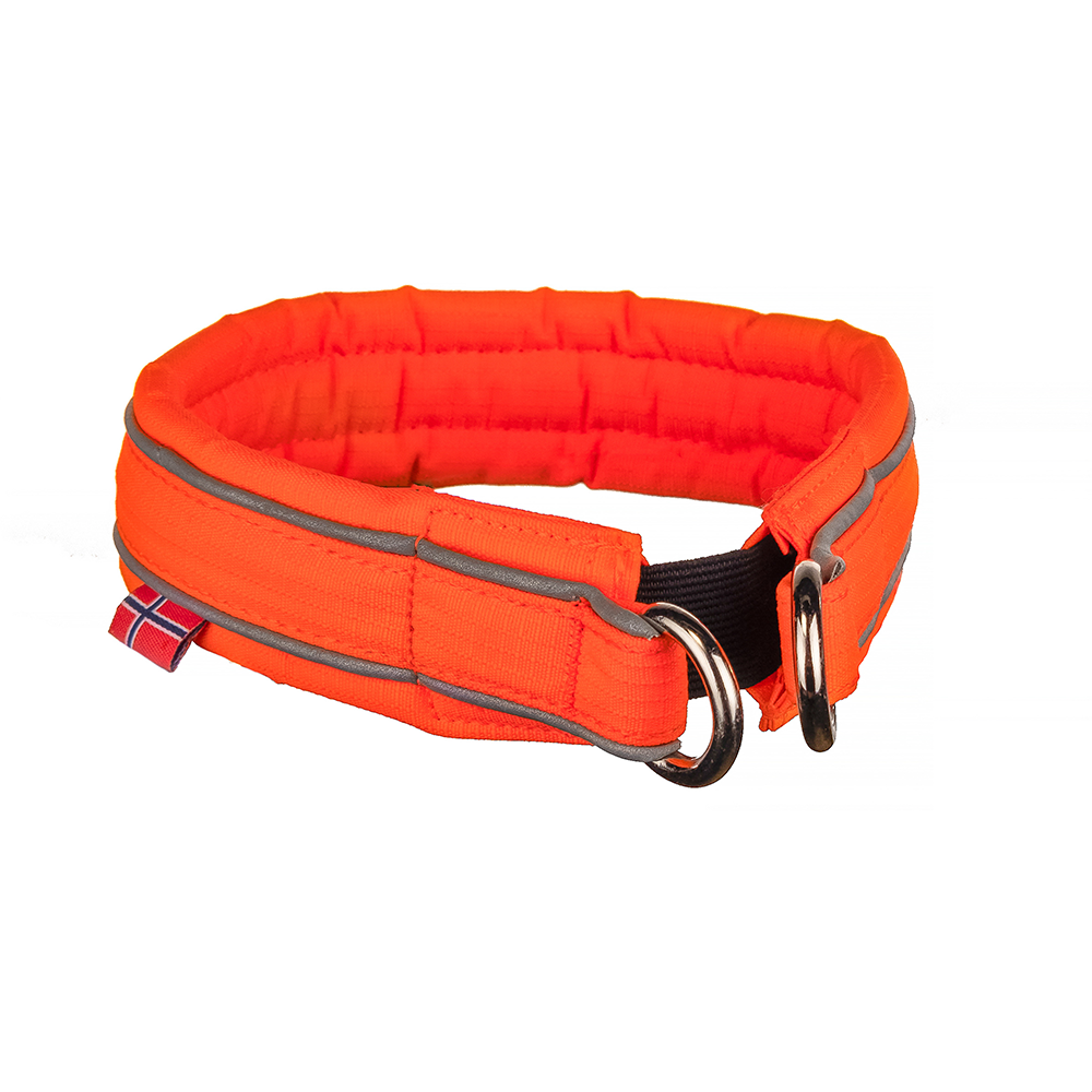 Hundehalsband "Safe Collar" in orange von Non-Stop dogwear