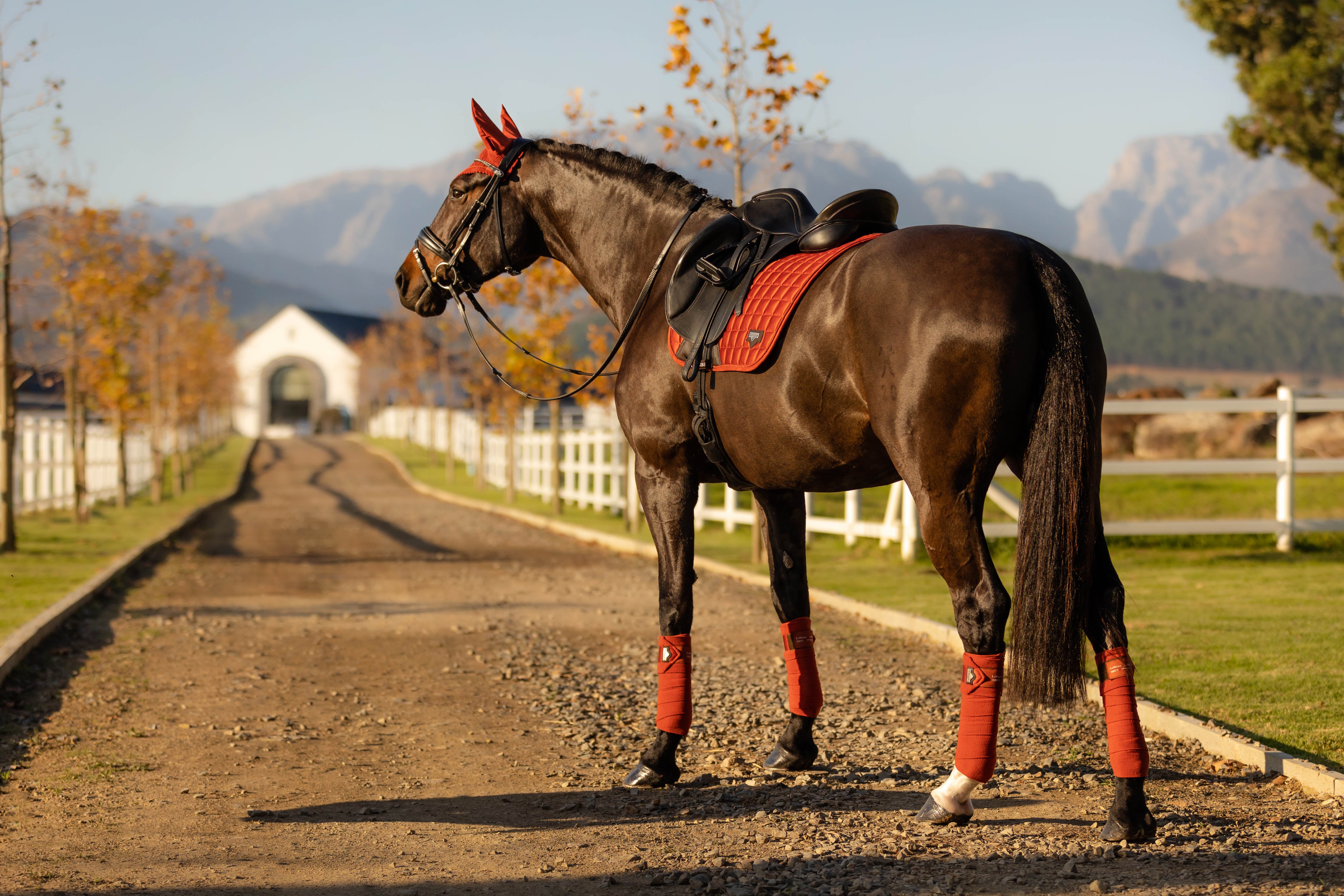 Sac à bridon d'équitation LeMieux Luxe - Protection élégante Sac à bridon d'équitation LeMieux Luxe - Protection élégante