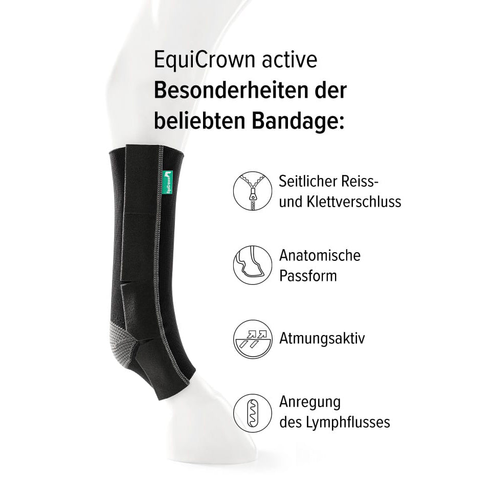 EquiCrown Active Postérieur, bandes de compression cheval