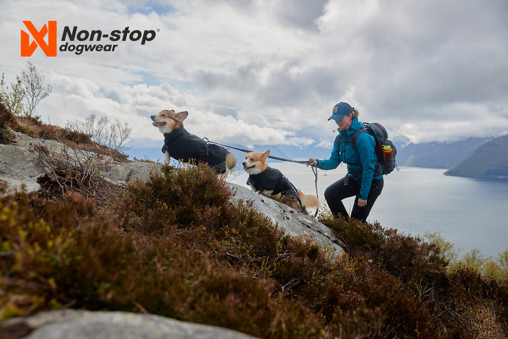 Regenmantel "Fjord Raincoat" in green von Non-stop dogwear