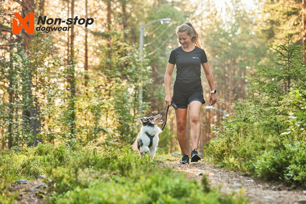 Hundegeschirr "Line Harness" in green von Non-Stop dogwear