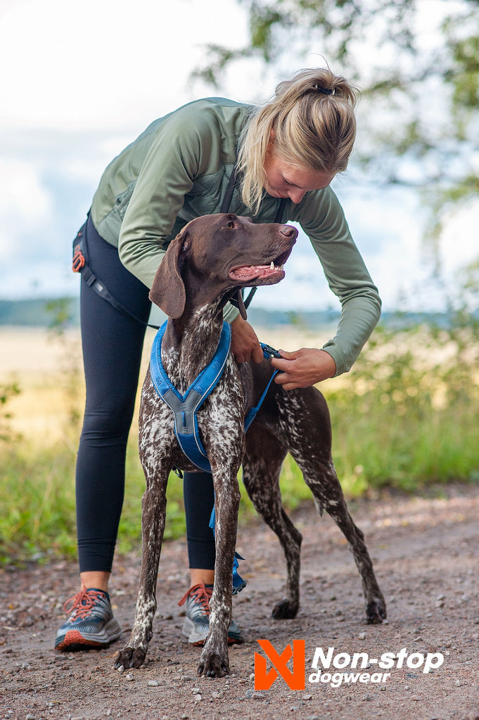 Hundegeschirr "Line Harness" in green von Non-Stop dogwear