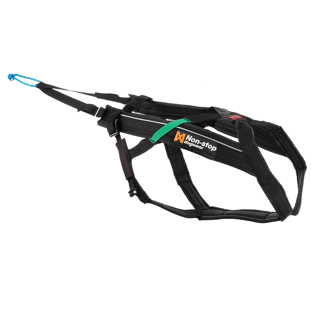 Hundegeschirr "Freemotion Harness" von Non-stop dogwear