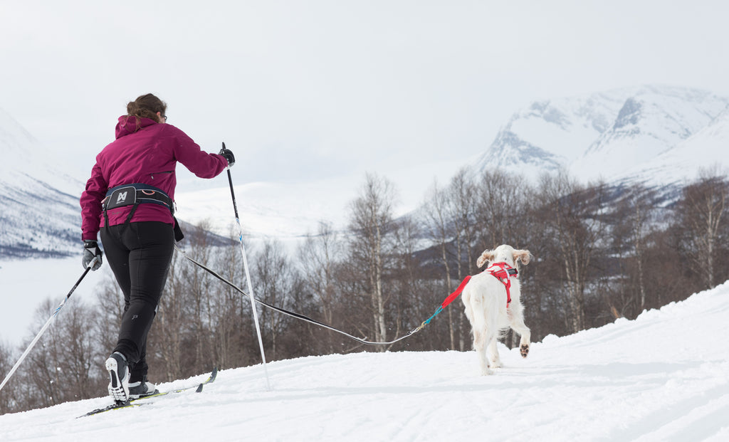 Hüftgurt "Trekking Belt" von Non-Stop dogwear