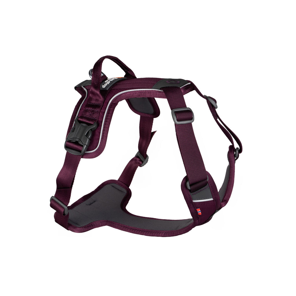 Hundegeschirr "Ramble Harness" in Purple von Non-Stop dogwear